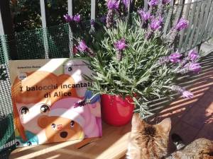 libri-per-bambini-morphema-editrice